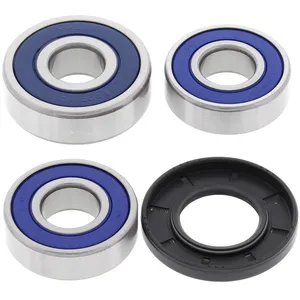 Kit de rodamientos de rueda All Balls, trasero