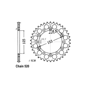 Piñón trasero JT 210.45