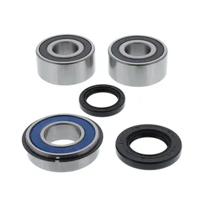 Kit de rodamientos de rueda All Balls, trasero