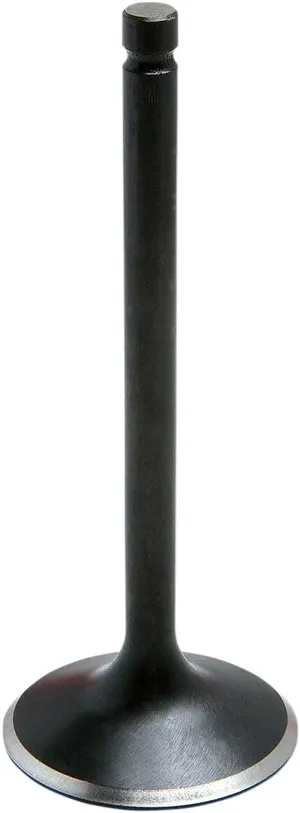Válvula de motor Black Diamond™