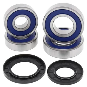 Kit de rodamientos de rueda All Balls, trasero