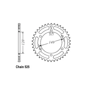 Piñón trasero JT 498.46