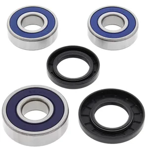 Kit de rodamientos de rueda All Balls, trasero