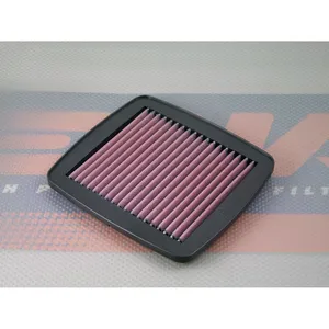 Elemento de filtro de aire DNA