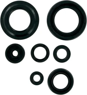 Juego de retenes de aceite para motor de motocicleta Harley-Davidson