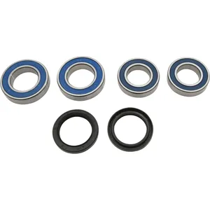 Kit de rodamientos de rueda All Balls, trasero