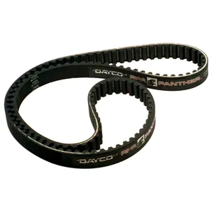Panther, correa trasera de repuesto, 14 mm, 24 mm/1" de ancho, 132 dientes