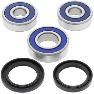 Kit de rodamientos de rueda All Balls, trasero
