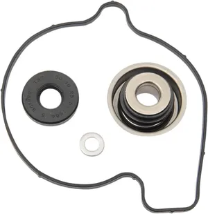 Kit de reconstrucción de bomba de agua