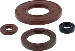 Oil seal set - MSE oil seals Canam MSE