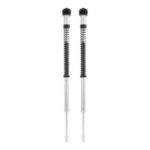 Öhlins, kit de cartuchos de horquilla delantera NIX22. Touring