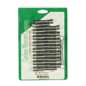 Kit de pernos para la caja de balancines GW, Shovel. Allen, cromado <span style="color: red;font-size: 0,5em">- PEDIDO ESPECIAL -</span>