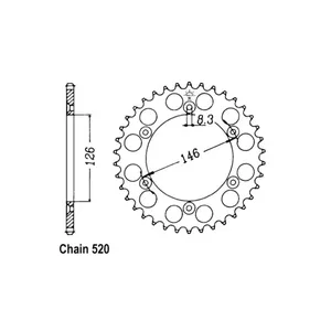 Piñón trasero JT 808.41