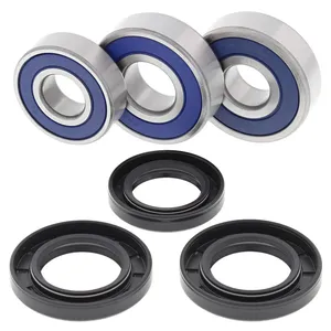 Kit de rodamientos de rueda All Balls, trasero