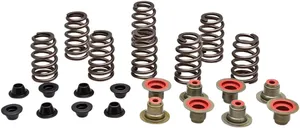 Beehive valve spring kit - RZR XP1000 springs 14