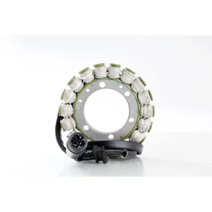 Estator Rick's, estilo OEM Kawasaki