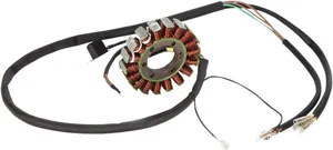 Estator eléctrico de motocicleta americana visto en detalle