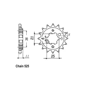 Piñón JT 290.15