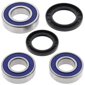Kit de rodamientos de rueda All Balls, trasero
