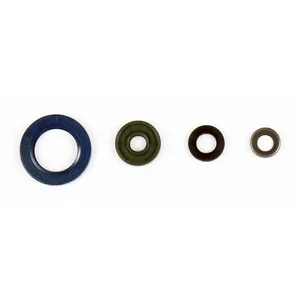 Kit de juntas tóricas de motor Athena