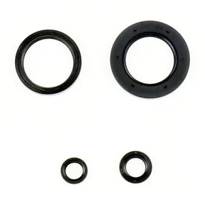 Kit de juntas tóricas de motor Athena