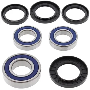 Kit de rodamientos de rueda All Balls, trasero