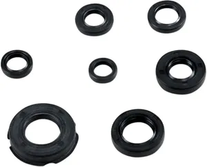 Oil seal kit - engine HON