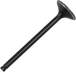 Válvula de motor Black Diamond™