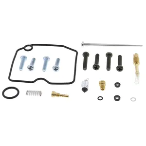 Kit de reconstrucción de carburador All Balls