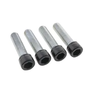 Screws4Bikes, kit de tornillos. Perno de pie conductor
