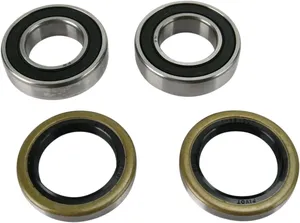 Kit de rodamientos y retenes de aceite para rueda de motocicleta