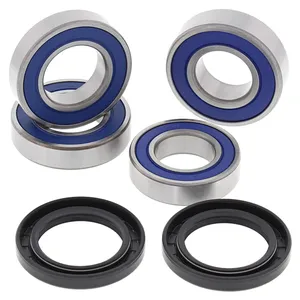 Kit de rodamientos de rueda All Balls, trasero