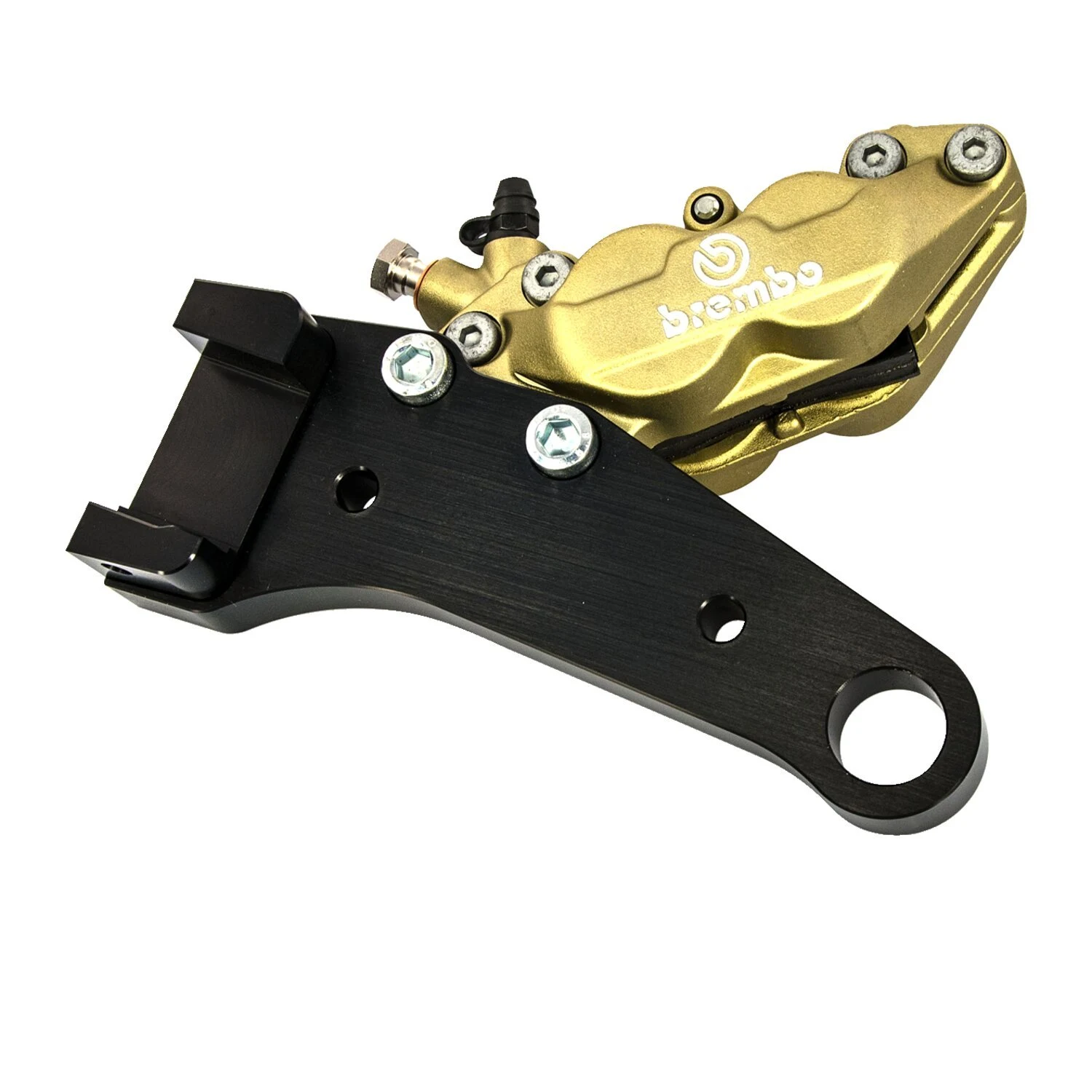 ak-5545-1254-free-spirits-1