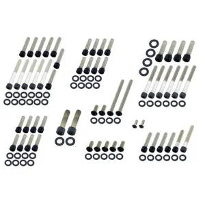Kit de pernos de motor Screws4bikes