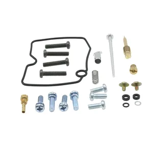 Kit de reconstrucción de carburador All Balls