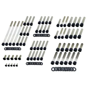 Kit de pernos de motor Screws4bikes