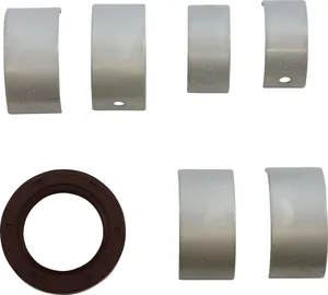 Main crankshaft bearing and seal kit - CAN AM