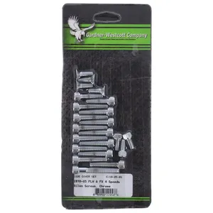 Kit de montaje de tapa lateral Big Twin, cromo allen