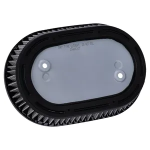 Elemento de filtro de aire OEM