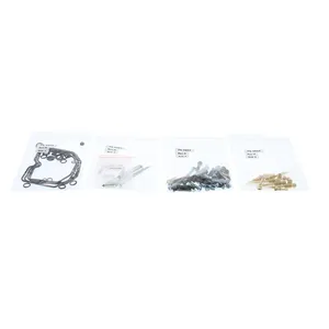 Kit de reconstrucción de carburador All Balls