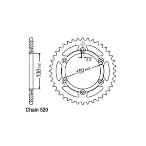 Piñón trasero JT 251.48
