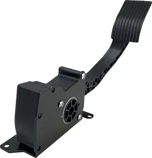 Conjunto del pedal del acelerador