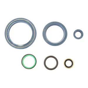 Kit de juntas tóricas de motor Athena