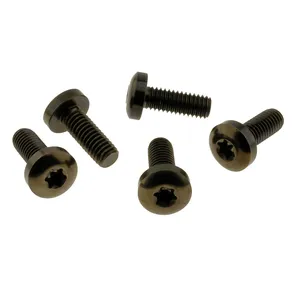 Screws4bikes, kit de pernos, discos de rotor de freno trasero (TITAN)