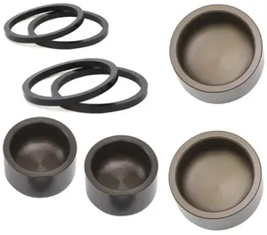 Juego de retenes de aceite y pistón para pinza de freno GP de montaje axial