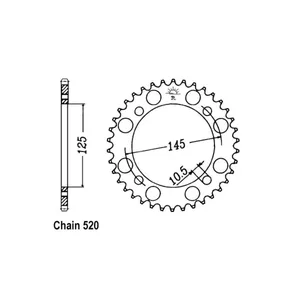 Piñón trasero JT 857.46