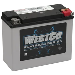 Westco, batería AGM sellada. 12V, 20Ah, 340CCA