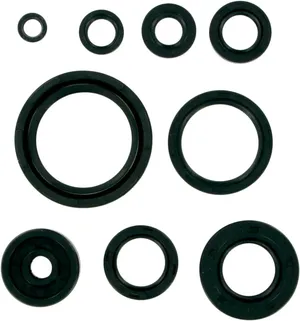 Juego de retenes de aceite para motor de motocicleta Harley-Davidson