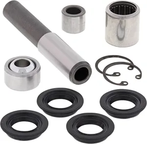 Kit de rodamientos y retenes para brazo oscilante de motocicleta