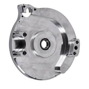Placa de motor de repuesto Bdl <span style="color: red;font-size: 0,5em">- PEDIDO ESPECIAL -</span>